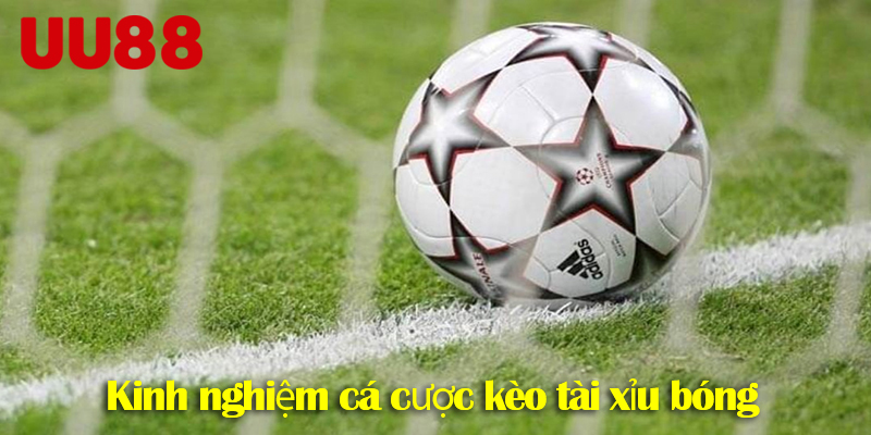 Kèo tài xỉu UU88 – Hiểu rõ luật chơi cùng kinh nghiệm cá cược chuẩn xác